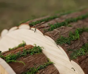 Wooden Hedgehog house Garden Shelter