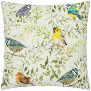 Evans Lichfield Shugborough Birds Traditional Feather Rich Cushion