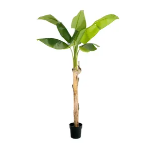 Blooming Artificial - 170cm / 5.5ft Artificial Musa Banana Tree