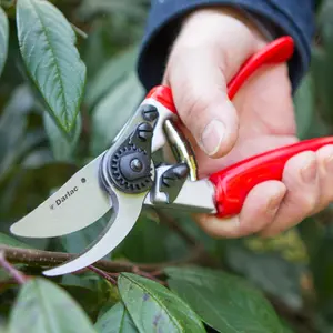 Darlac Expert Rotating Handle Bypass Secateurs