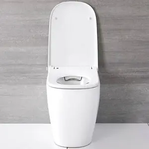 Floor Standing Back to Wall Japanese Style Bidet Toilet