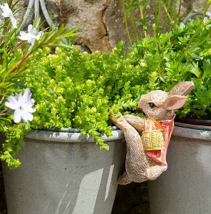 Beatrix Potter Flopsy Bunny Plant Pot Hanger - L11.5 x W6 x H6 cm