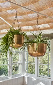 Indoor Mayfair Antique Brass Hanging Planter H21Cm D30Cm