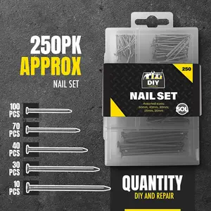 250pk Assorted Nails for Wood, Iron Nails for Hanging Pictures - Long, Medium and Small Wall Nails for DIY and Crafts, Woodwork