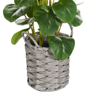 Beliani Retro Artificial Plant KIBETI Green