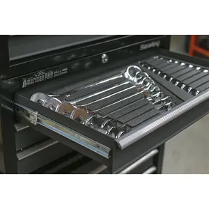 19 Piece Combination Spanner Set with Handy Tool Tray for Organized Storage