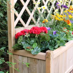 Zest York Wooden Rectangular Garden Planter & Lattice Trellis