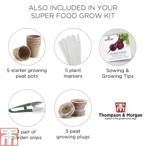 Seed Growing Kit - Super Foods