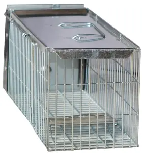 Humane Animal Trap for Vermine Rat/Squirrel Heavy Duty Metal Catcher