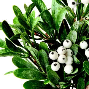 Mistletoe Christmas decoration (H) 230mm