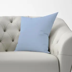 Pale Cornflour Blue Cushions 60cm x 60cm