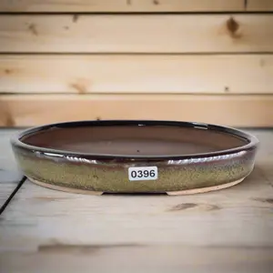 21cm Glazed Bonsai Pot - Oval - 21cm x 16cm x 3cm - Green