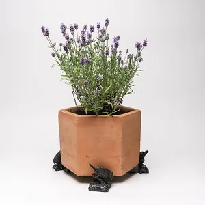 Blue Tit On Log Plant Pot Feet - Set of 3 - L7 x W6.5 x H8 cm