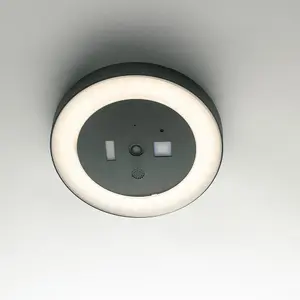 Luminosa ZOOM LED Flush Ceiling Light Anthracite, IP54 1800lm 4000K 30x5.5cm