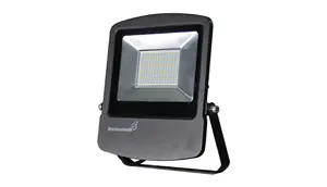 100W 4000K IP65 REX Slim Floodlight 220-240V