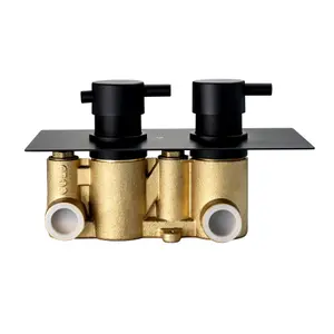 ENKI Venice Black Round 2-Outlet Solid Brass Thermostatic Twin Shower Valve TSV024