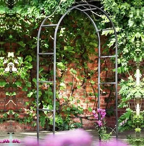 Tom Chambers Classic Metal Garden Arch 110cm Wide Garden Rose Arch