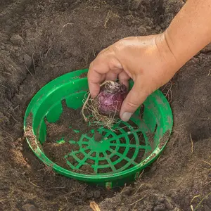 Bulb Planting Baskets x 20 - Easy to Use - Durable