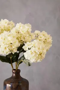 Cream Hydrangea Stem Artificial Plant Foliage