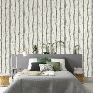 Birch Trees Wallpaper Cream / Grey Erismann 5433-47