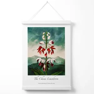 Vintage Floral Exhibition -  The China Limodoron Poster with Hanger / 33cm / White