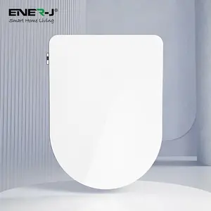 Smart Toilet Seat Cover With Intelligent Bidet Function