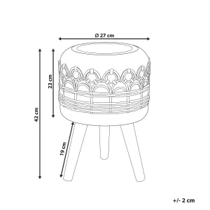 Elevated Plant Pot CYRTOMIUM Ceramic Light Brown