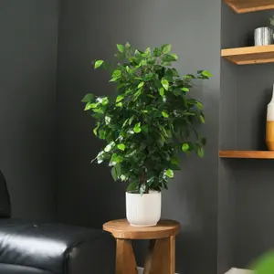 Blooming Artificial - 90cm / 3ft Artificial Weeping Fig Ficus