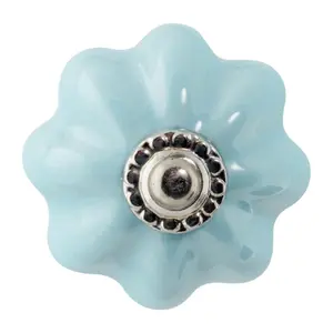 Nicola Spring - Floral Ceramic Cabinet Knob - Blue