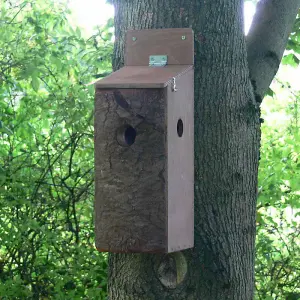 Red Squirrel Nest Box - Plywood - L20 x W15 x H50 cm