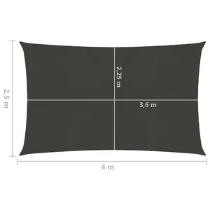 Berkfield Sunshade Sail 160 g/m2 Anthracite 2.5x4 m HDPE