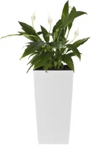 Tall Planter set of 3 Plant Pot Flower with Insert Indoor Outdoor Garden Patio White H32cm, H 50cm, H 61cm