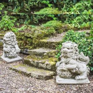 Stunning Pair of Large Foo Dogs statues