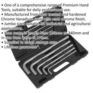 10 Piece Extra-Long Jumbo Hex Key Set for Industrial Use - 3mm to 17mm Sizes