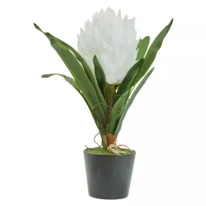 Fiori White Tropical Plant Artificial Plant Foliage