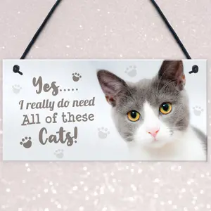 Red Ocean Really Do Need All These Cats Sign Funny Crazy Cat Lady Sign Pet Lover Gift