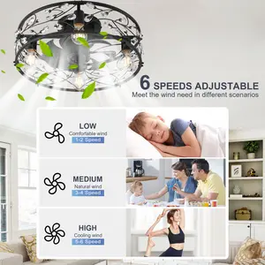 51cm Crystal Farmhouse Reversible Caged Ceiling Fan with Light Kit and Remote Control