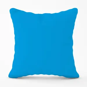 Electric Blue Outdoor Cushion 45cm x 45cm