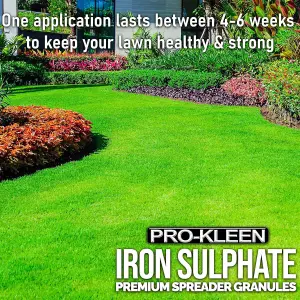 Pro-Kleen Iron Sulphate Spreader Granules Covers up to 664m2 For Grass Green Up Ferrous Sulphate Dry Granules