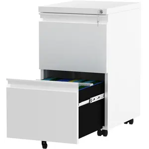 39cm Wide 2 -Drawer Mobile Steel File Cabinet White