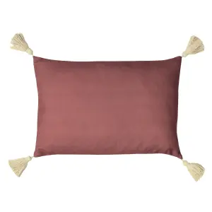 Paoletti Somerton Floral Tasselled Feather Filled Cushion