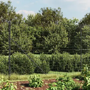 Nelda Anthracite Metal Fence Panels Anthracite / 1.8m H x 25m W / 7