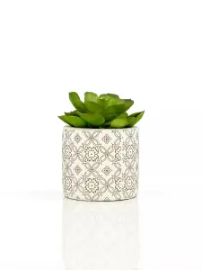 Fiori Set of 3 Succulents in Henna Ceramic Pots Artificial Plant Foliage