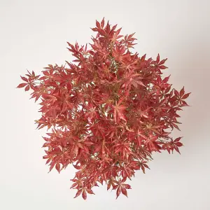 Homescapes Acer Tree in Pot, 120 cm Tall