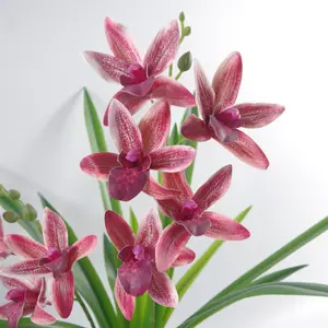 50cm Large Dark Pink Artificial Orchid in Ceramic Planter