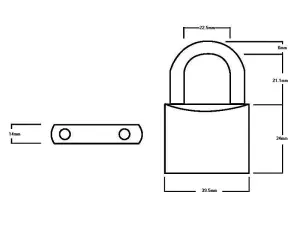 Squire LN4 Lion Brass Padlock 5-Pin 40mm