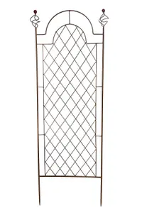 Scroll Garden Wall Trellis Climbing Plant Support Frame Set of 2 (H)120cm