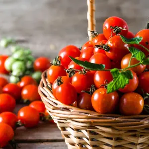 Tomato Consuelo (Crimson Cherry) 1 Seed Packet