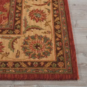 Orange Luxurious Traditional Wool Floral Bordered Rug for Bedroom & Living Room-229cm X 290cm