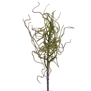 Bloom Artificial Single Withered Moss Stem - Faux Fake Silk Flower Indoor Home Decoration Floral Arrangements - Measures 46cm